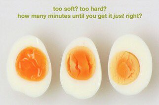rasamikelyte's tweet photo. No one came to the focus group this morning... not a single participant! So WHY am I missing #Brexitfast with @Red_Fringe and @drjameshadlow ?!?! 😭😭😭😭 #poorlifechoices https://t.co/s4ARJwMcgs