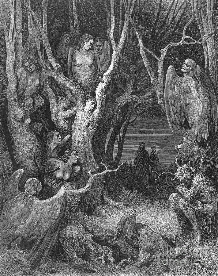 Gustave Doré’s engraving of the Wood of Suicides, from Dante’s Inferno; Canto XIII“There do the hideous Harpies make their nests / Who chased the Trojans from the Strophades / With sad announcement of impending doom...”And yet... @FolkloreThurs  #FolkloreThursday