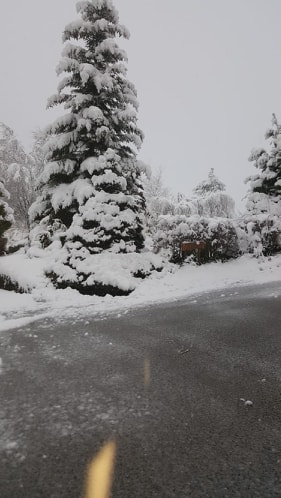 msa6768's tweet photo. Comme attendu, les 10 - 15 cm sont dépassés loc. dans #Sundgau comme à #Lucelle à 700 m d'altitude. Une #couche de #neige progressivement plus basse en perdant de l'altitude. Photo : Laurence Meister pour @msa6768
#meteo68 @bleualsace @F3Alsace @TopmusicAlsace https://t.co/PHKPAGevco