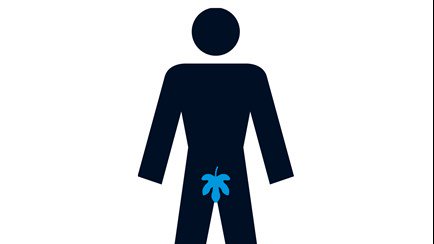 Prostate Cancer UK tweet media