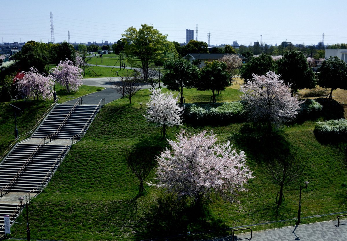 足立区役所 桜満開の足立区舎人をディープに散策 千本桜まつりが開催される舎人公園周辺の よりみち を楽しむコースが 街歩きアプリ Yorip ヨリップ に登場 T Co M6zntgctnm T Co Myapnv6ra5 舎人公園千本桜まつり お花見 足立区役所 桜満開の足立区舎人をディープに散策 千本桜まつりが開催される舎人公園周辺の よりみち を楽しむコースが 街歩きアプリ Yorip ヨリップ に登場 T Co M6zntgctnm T Co Myapnv6ra5 舎人公園千本桜まつり お花見