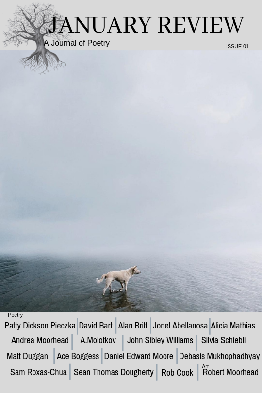 ReviewJanuary's tweet photo. #poetry #poems #nature #januaryreview https://t.co/ItCp5FvVXr
