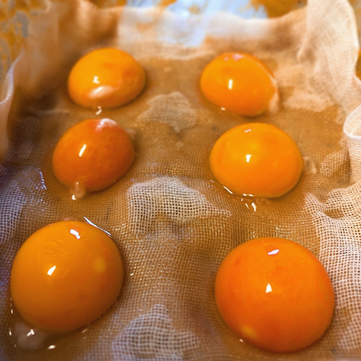 えび در توییتر 美味しんぼ 海原雄山氏作 初卵の黄身の味噌漬け 仕込みました 味噌はちょっと違うけど ここから 3日間寝かせます 3日後が楽しみ T Co W86dfbwhf2 初卵 黄身の味噌漬け 美味しんぼ 海原雄山 再現料理 マンガ飯 Comic Food