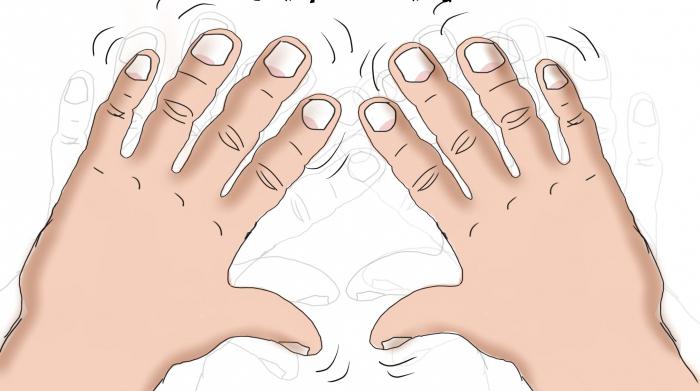 EliseEcosystems's tweet photo. Do you have problems with #HandTremors? There is a new tool to help you. #ViLimBall is one of best practices of cooperation of academia and industry in Kaunas, Lithuania in the local #innovation #ecosystem. You can find out more at https://t.co/xI9uaJxPyo https://t.co/ITjd0atr9j