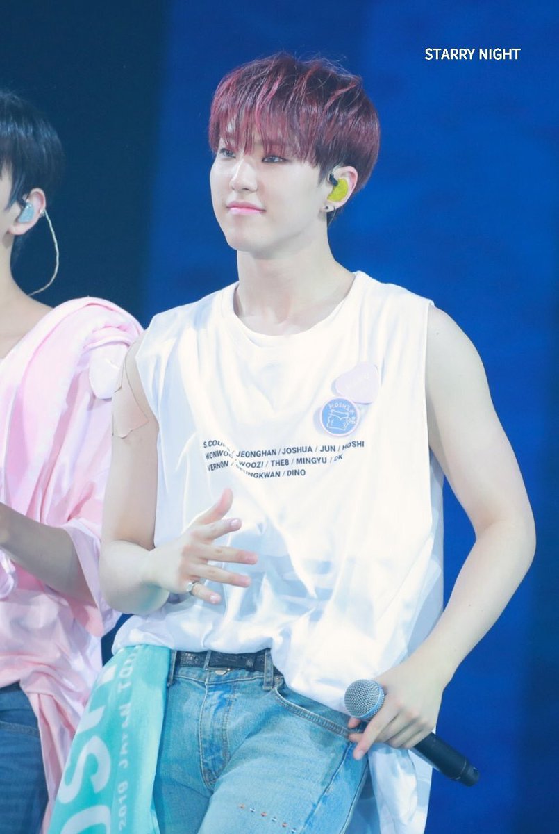 lq soonyoung pics 🐹 (@lowqualhoshi) on Twitter photo 