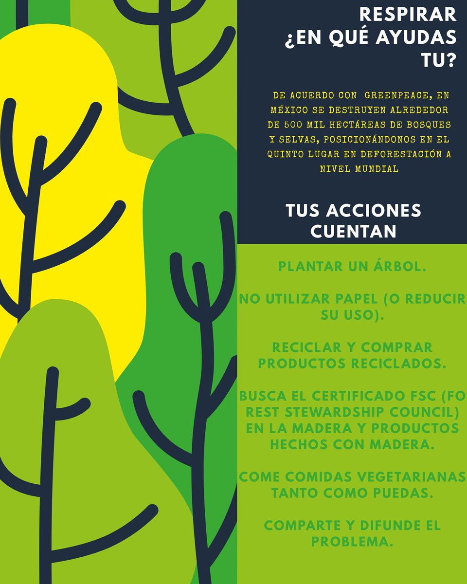 fertoro7's tweet photo. #tusaccionescuentan #ecologia #arbol #CDMX @FAO  @senadomexicano  #2030Agenda #PorTodosParaTodos hagamos reto viral cuidar nuestro país, nuestros árboles. Ayuda a este país, hay que crear un México con conciencia hacia el #futuro. https://t.co/tTGsAseDJf