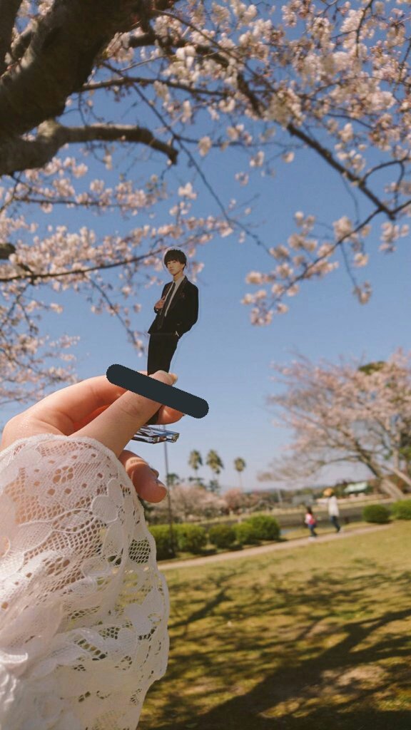 ikedaotaku's tweet photo. 池田の彪馬くんとお花見をしました https://t.co/RZyxdJ0jrL