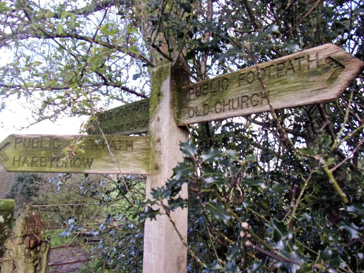StanLeigh18's tweet photo. #Mealsgate, #Harbybrow #Blennerhasset walk with #Carlisle #Ramblers - #AllHallowsOld #Church - #HarbybrowPeelTower - #RiverEllen
Fantastic walk - former railways & mining history
@PictureCumbria @FeatureCumbria @cumbriaoldrural @TMaryporters @viviennecrow2 https://t.co/sQSeo2cvp6