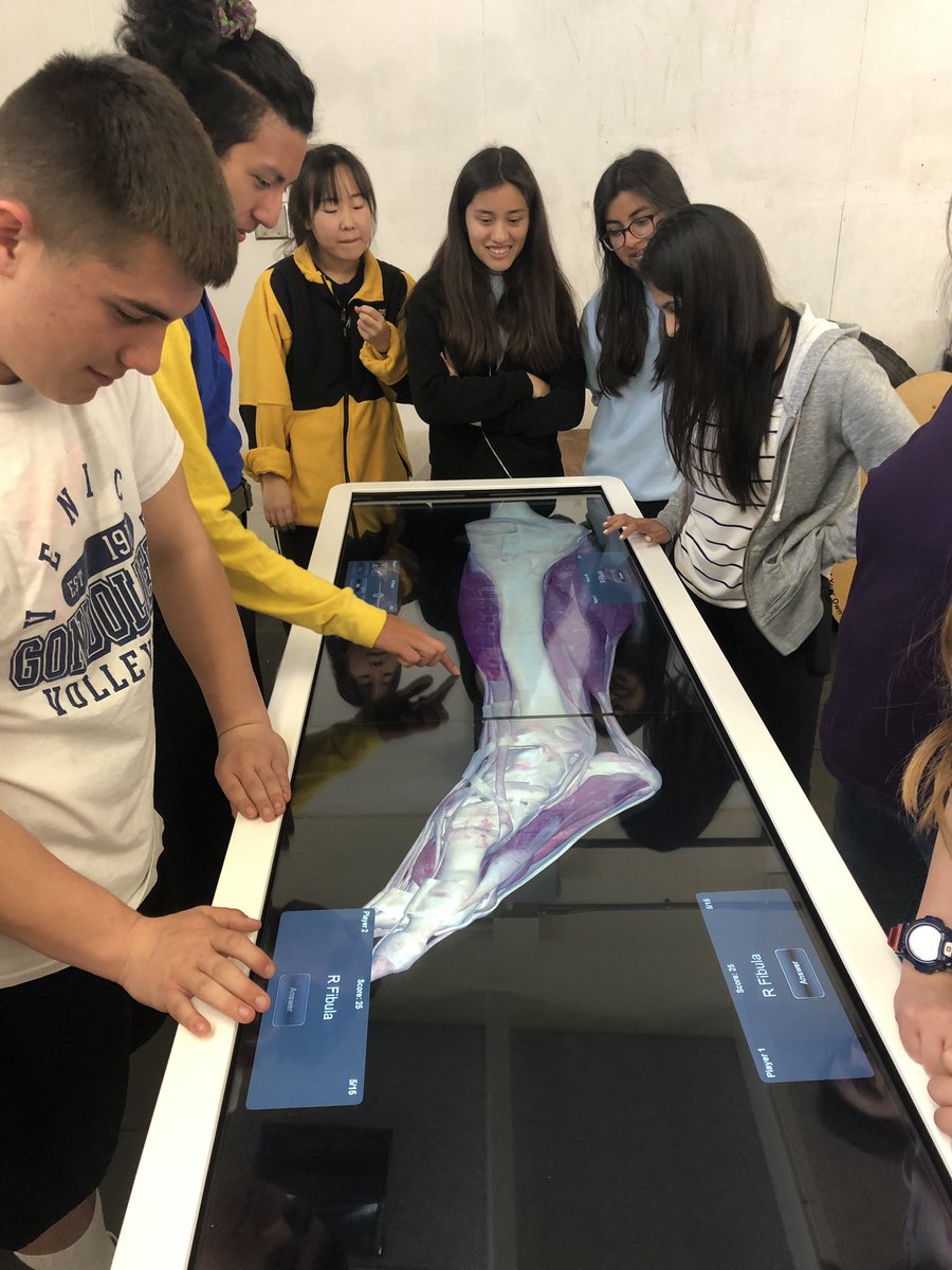 AnatomageTable's tweet image. @venicesportsmed #learning #anatomy on the #Anatomagetable