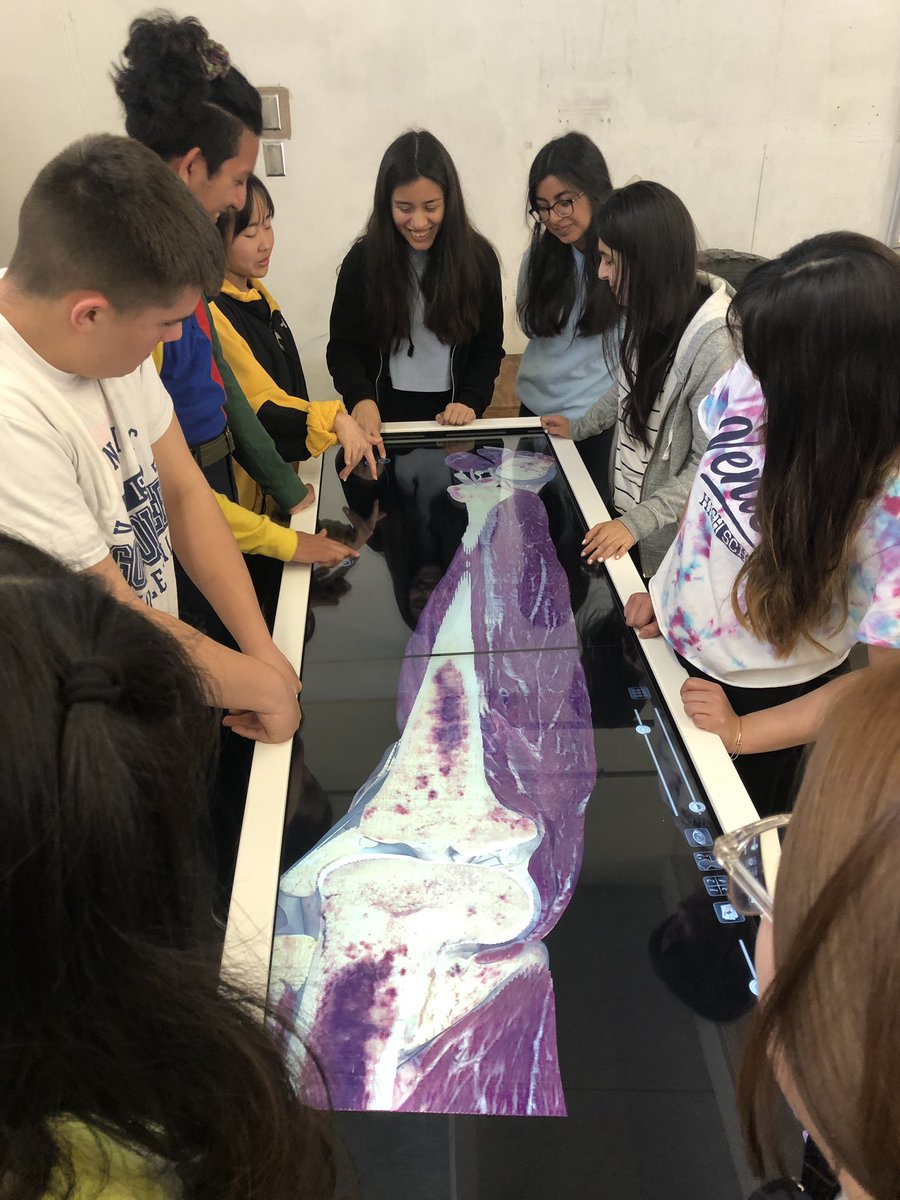 AnatomageTable's tweet image. @venicesportsmed #learning #anatomy on the #Anatomagetable