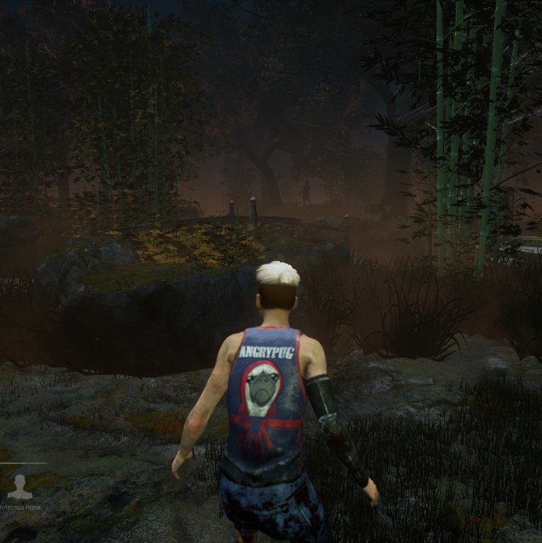 MissKryptonite1's tweet photo. Meg Sees The Huntress In A Far Off Distance. #deadbydaylight #dbd #twitch #twitchkittens #scopegaming #pcgaming #twitchaffiliate #twitchfam #janeromero #streamsconnected #twitchcommunity #theangelraiders #misskryptonite #thehuntress https://t.co/3N7xLZMZ27