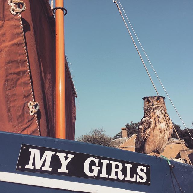One of my favourite pictures of our plucky wooden crab boat and our wise visitor! . .
#owls #boats #sailing #traditionalboats #woodenboats 
#rescuewoodenboats #crabboat #nationalhistoricships #nationalmaritimemuseum #nationalmaritimemuseumgreenwich #wild… ift.tt/2K64Qw4