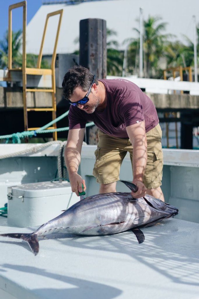 FishX_Program tweet media