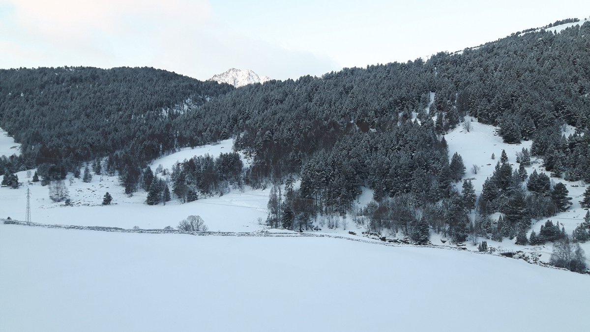 #meteo #Andorra 

Bon dia!! Així ens llevem sumant mes gruix de neu ❄❄❄
Aquesta nitvno ha parat i avui sembla que tindrem un dia espectacular 🌞 per anar a treballar ⛷🏂⛷🏂⛷🏂⛷🏂💙❄💙❄🙌

📍Peretol <a href="/pasgrauencamp/">Pas de la Casa Grau Roig</a>