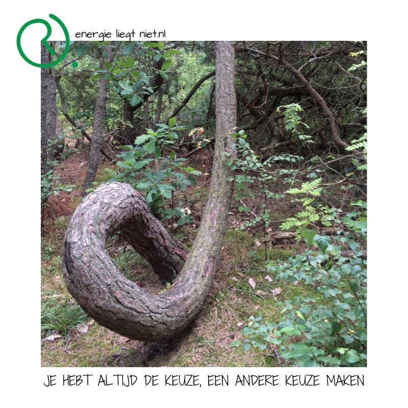 lichtbrengster's tweet photo. sta op als je ergens mee zit!
#keuzestress #richting #verbeter https://t.co/V4AQgngm0D