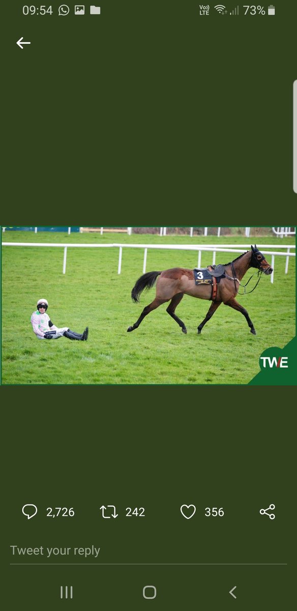 Sean Anderson tweet media