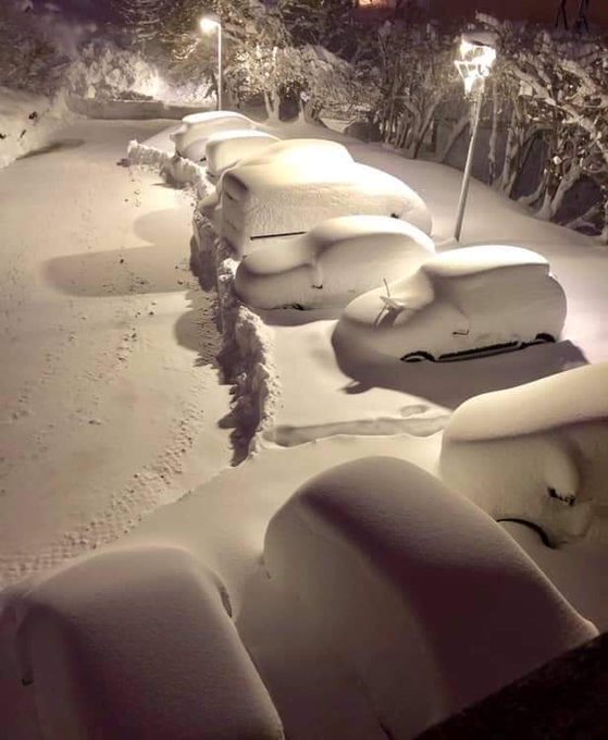 View image on Twitter