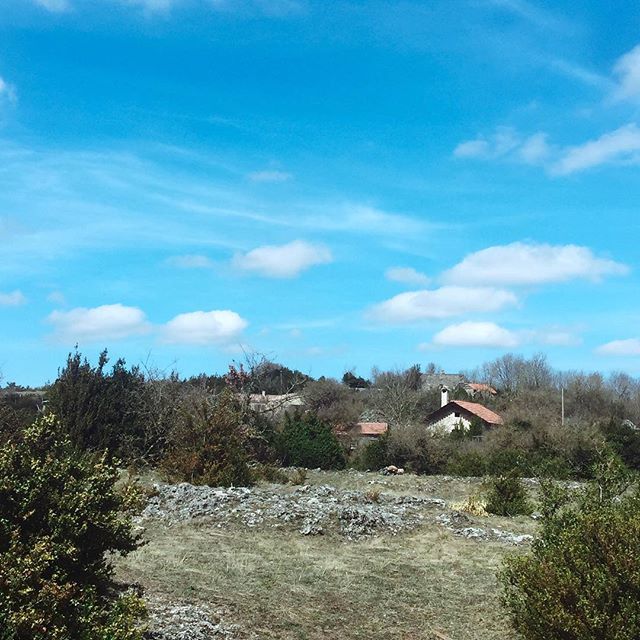 couchesRL's tweet photo. 🌳 Post en photo #1
On est allées balader dans les plaines vallonnées du Larzac 😍
.
.
.
.
#maman #mamansolo #mamanblogueuse #blogueuse #blogdemaman #montpellier #tourismelarzac #igerslodevelarzac #igerslarzac #herault #aveyron #paysagedefrance #instaf… https://t.co/4fztpTWO0C https://t.co/yFd5KuJt2R