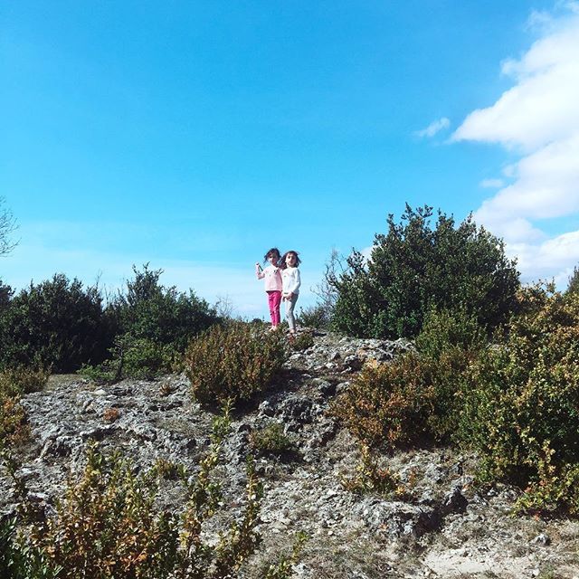couchesRL's tweet photo. 🌳 Post en photo #1
On est allées balader dans les plaines vallonnées du Larzac 😍
.
.
.
.
#maman #mamansolo #mamanblogueuse #blogueuse #blogdemaman #montpellier #tourismelarzac #igerslodevelarzac #igerslarzac #herault #aveyron #paysagedefrance #instaf… https://t.co/8ruLYZyIt2 https://t.co/iaaqGZoBVC