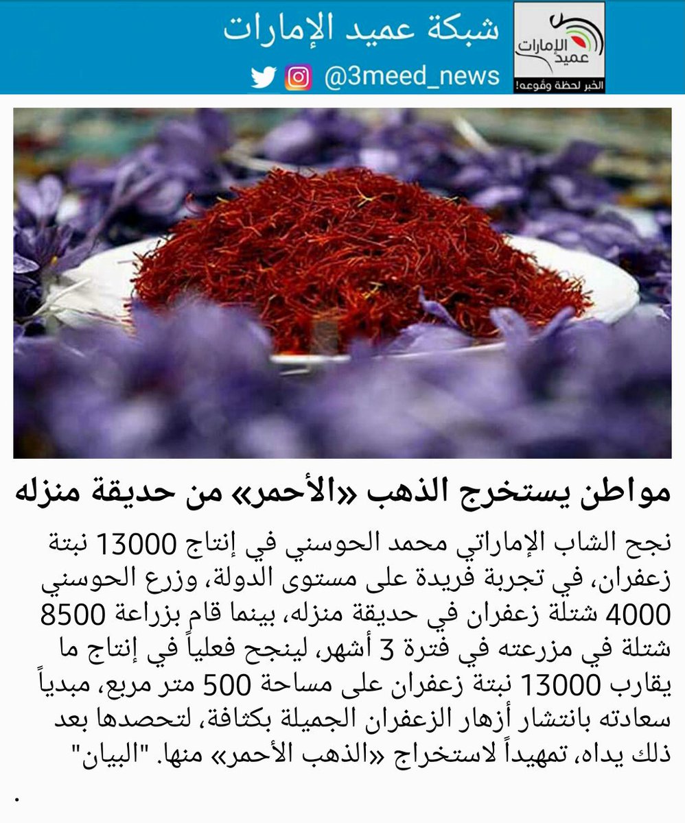 نجح الشاب الإماراتي محمد الحوسني في إنتاج 13000 نبتة زعفران، في تجربة فريدة على مستوى الدولة، وزرع الحوسني 4000 شتلة زعفران في حديقة منزله، بينما قام بزراعة 8500 شتلة في مزرعته في فترة 3 أشهر، لينجح فعلياً في إنتاج ما يقارب 13000 نبتة زعفران على....
#عميد_الإمارات