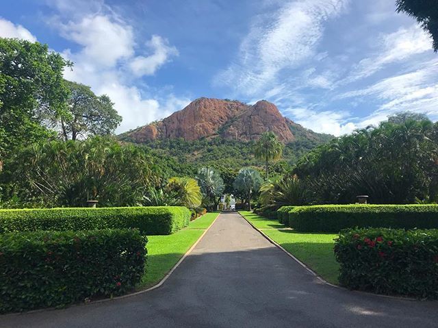 Haventsv's tweet photo. Here at Haven, we are just a 3 minute drive away to the gorgeous #queensgardenstownsville Why would you live anywhere else? https://t.co/bVigcCsrq2 https://t.co/Rn2FFRZBZr