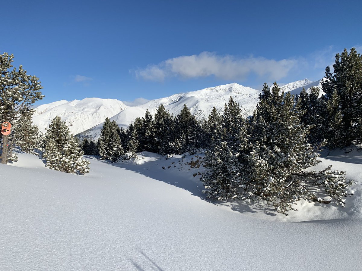 Imatges d’ hivern?. Avui 30 cm neu pols en alçada😜⛷