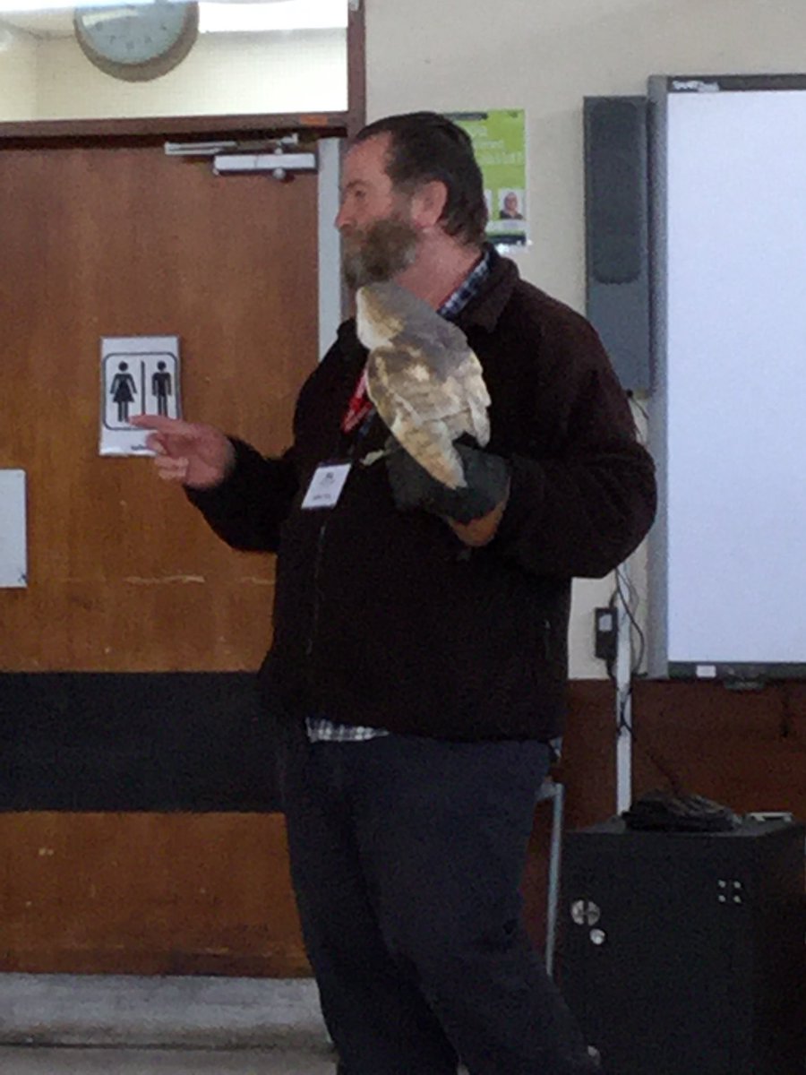 StantonValeSch's tweet photo. What a fantastic experience in school today @owlexperience made our Owl Baby story come to life! Thank you to all the staff and @owlexperience the pupils thought it was amazing! https://t.co/OQlnqjMvX5