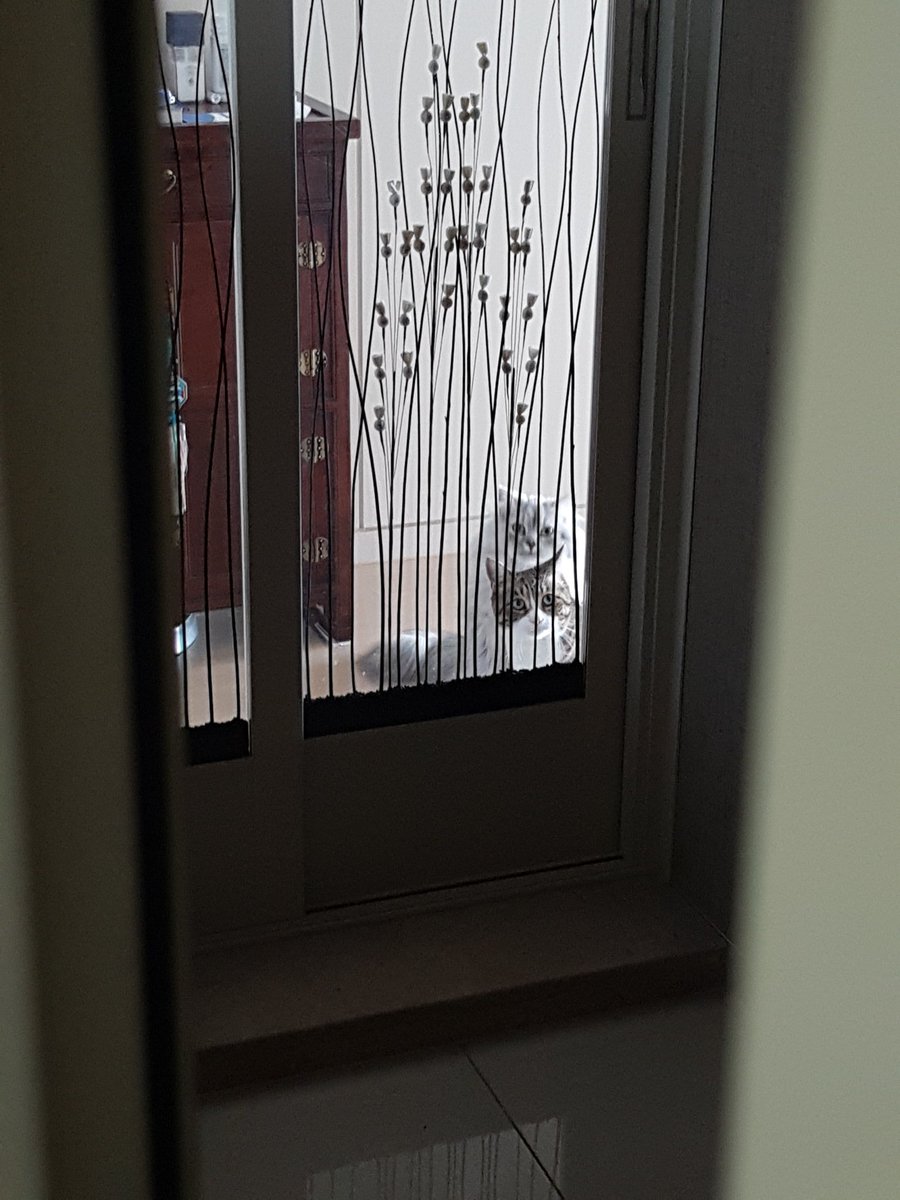 When i go to outside..