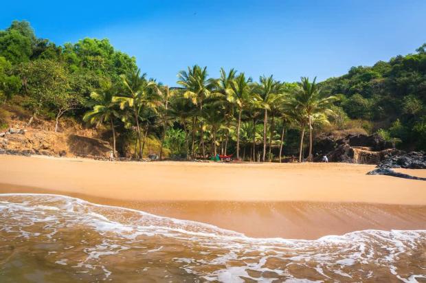 #Gokarna In #Karnataka A #PilgrimageSite Turned Into A Beautiful #BeachSide Location.

Here Is The Complet #History Of #AtmaLinga. Click The Link Below To Know More...eeyuva.com/travel-tourism…

#Travel #Tourism #MahabaleswaraTempla #LordShiva #LordGanapathi #KudleBeach #OmBeach