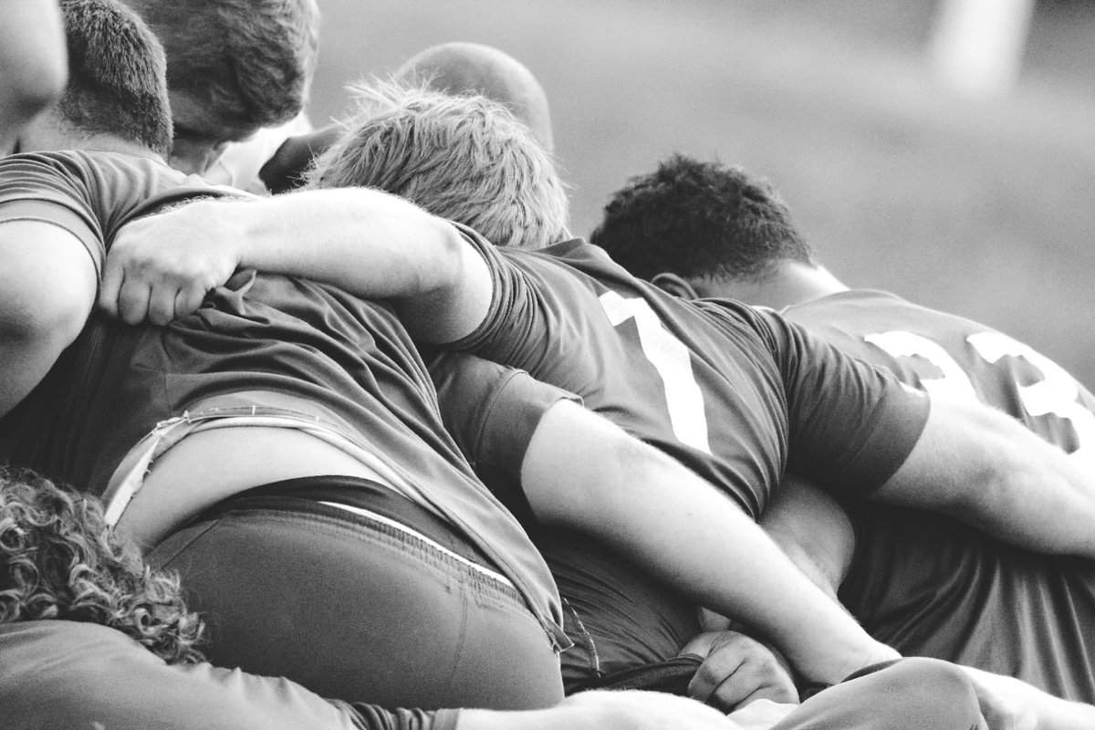 Torsten_2's tweet image. Ensemble🔵⚪️