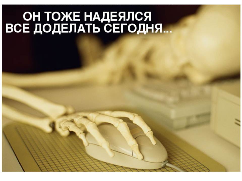 Смешная картинка на работе