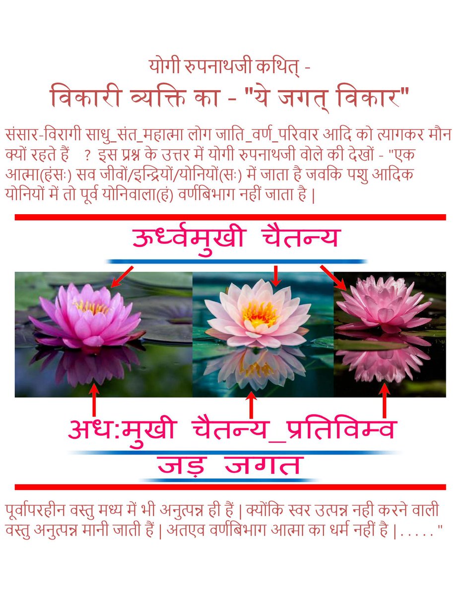 NatarajarTemple's tweet photo. https://t.co/C9kcomszO3