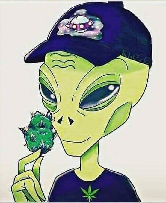 stinksack's tweet photo. Take me to your breeder... #smellproof #odorless #stinksack #stealth #cannabis #marijuana #dabs #extracts #edibles #headies #kush #cancer #indica #newyorkcity #smokeweedeveryday #cbd #thc  #ommp #snoopdog #wutangclan #cypresshill #cannabis #bassnectar #f… https://t.co/uhCyudEchp https://t.co/DCMtvTFSrW