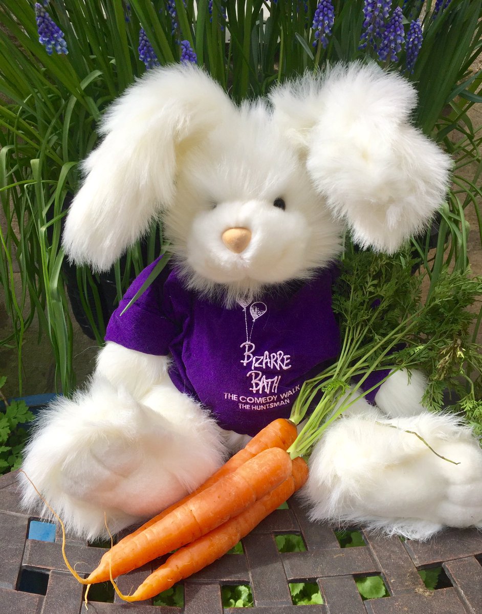 Stu the rabbit is ecstatic! Not only is it #WorldCarrotDay, but he’s also back to work for the #BizarreBathComedyWalk. Yes the Comedy Walk is back for its 28th season! Starting this evening & running every night at 8pm from outside #TheHuntsmanInn. See you there! 🐰🥕🚶🏻‍♀️🎭