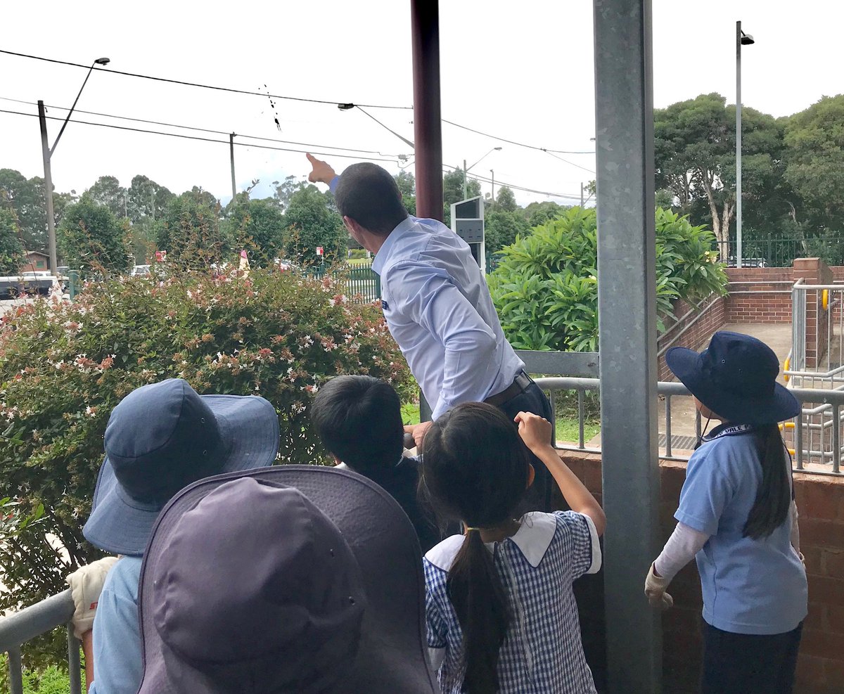 Gardening club discovered what a Golden Orb spider looks like thanks to Mr Matthews.