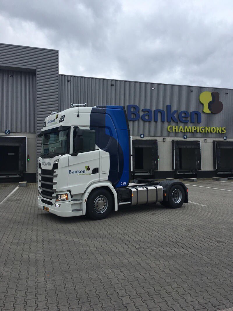 Banken Champignons tweet media