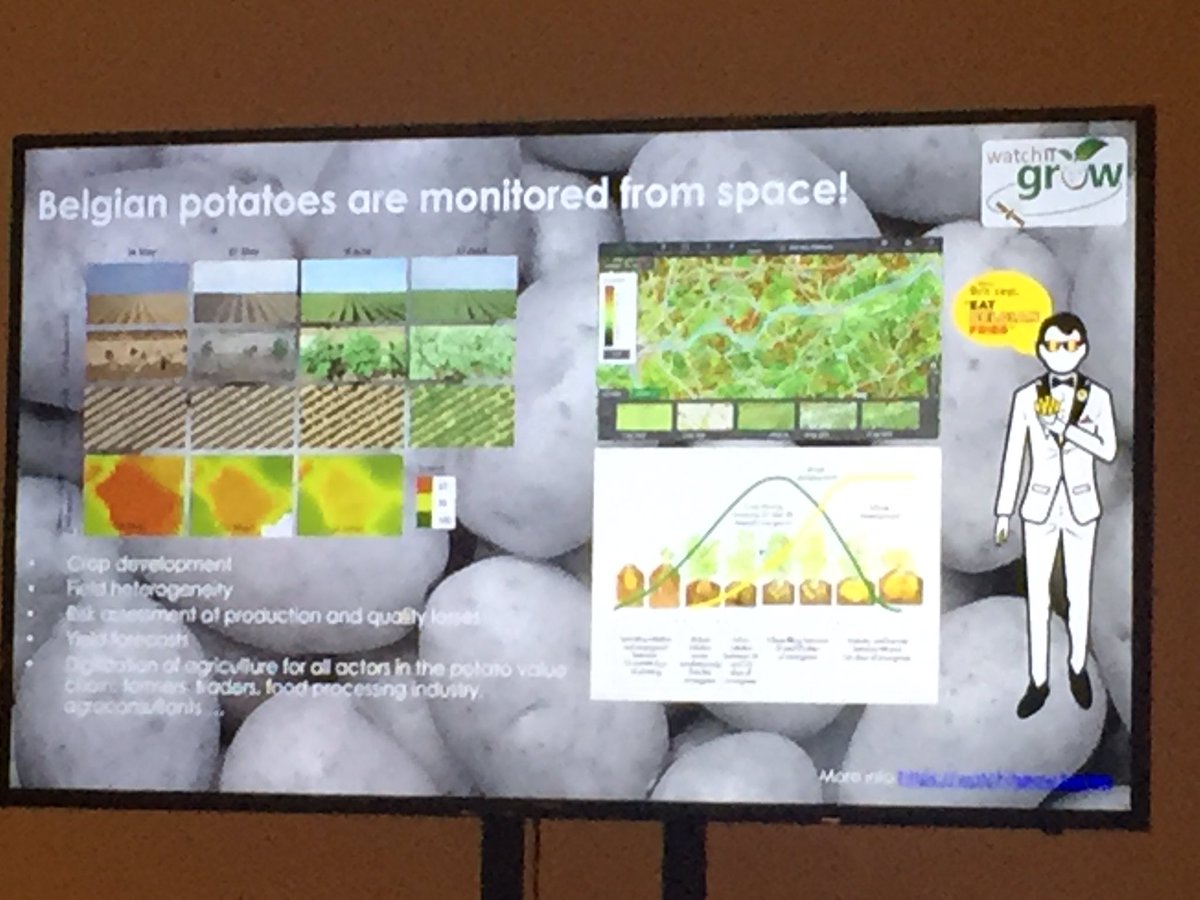 narainananya's tweet image. Mr. Steven Krekels, VITO Remote Sensing, presents the Belgian case study on monitoring potato products from space using @CopernicusData. @meghadatta17, you would have loved it! @geoworldmedia #GeospatialByDefault #GWF2019