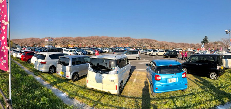 幸手権現堂桜堤の幸手桜まつりの混雑や渋滞回避情報と駐車場の混み具合 日本全国のお祭り 花火大会 花見スポットを解説するブログ