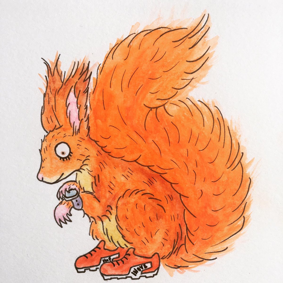 Saw this <a href="/redsquirrelrun/">Red Squirrel Run Co</a> and thought of you! 😊