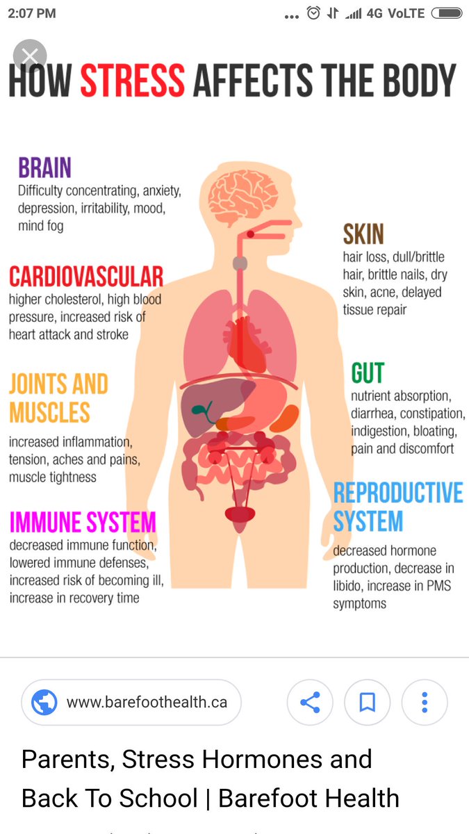 DrVandanaSaraf1's tweet photo. Get stress free life by changing the Lifestyle followed by Ayurved #awakening #bodypositivity #beyourself #HealthyLife #ThursdayThought https://t.co/OB7A22OZib
