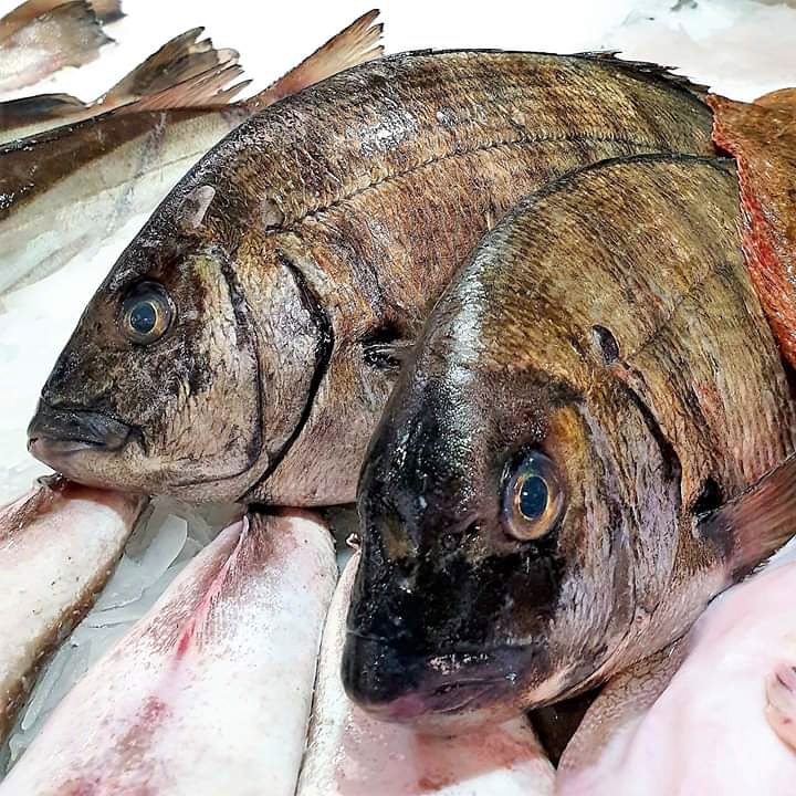 !Buenos días! Estos sargos están deseando irse contigo a tu casa ¿Qué dónde están? en 👉 kibus.online 👈

#realfood #realfooding #comidareal #productosfrescos #compraonline