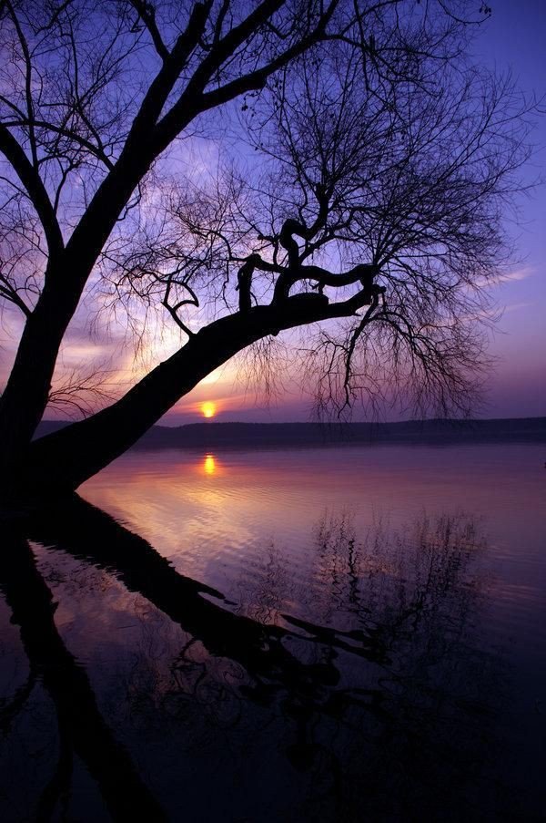 Fact840's tweet image. 