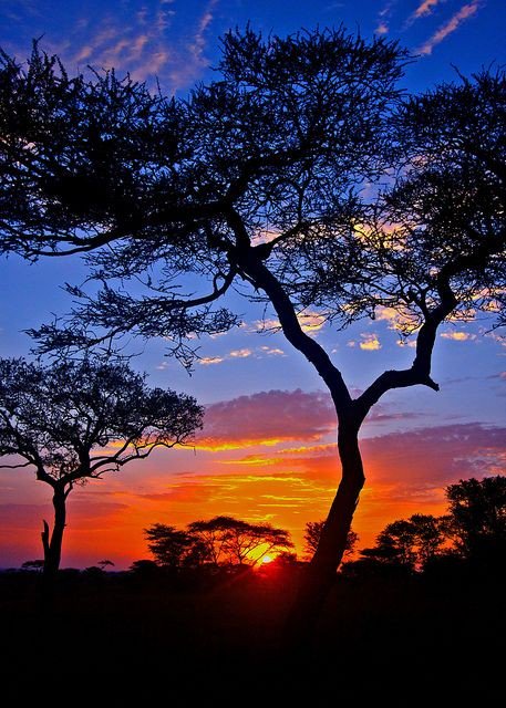 Fact840's tweet image. 