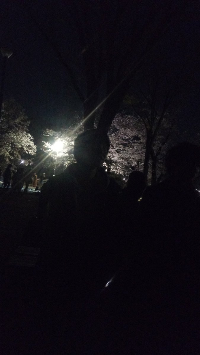 51stFSC's tweet photo. 新歓四日目！！
みんな、コンパ来てくれてありがとう！！
これからもっと楽しもうな！！
明日も楽器体験、クラブ説明やってます！部室棟3スタジオかブースにお越しください！！
写真はみんなで夜桜！ https://t.co/YdFFwQzoE6