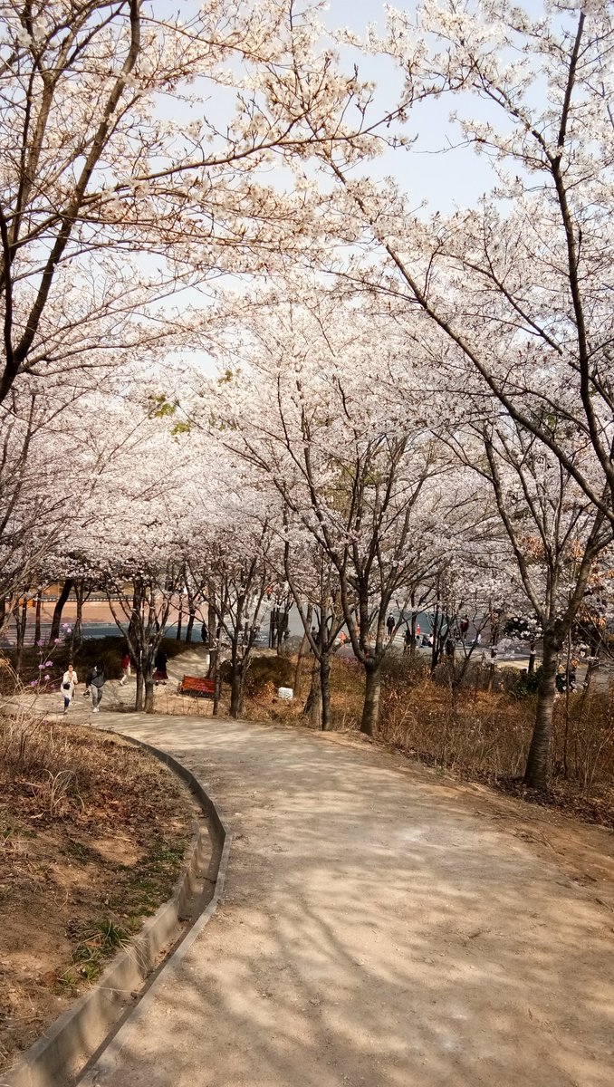 쿠기가가 tweet media