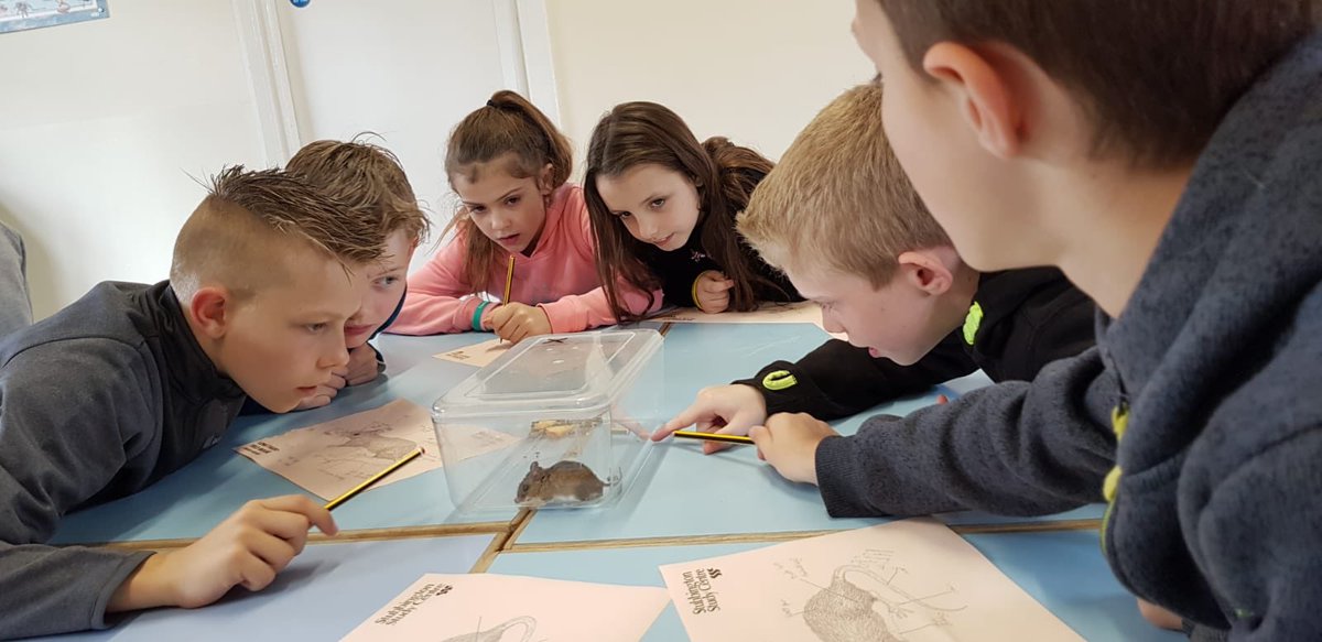 Year 4 Stubbington Trip tweet media