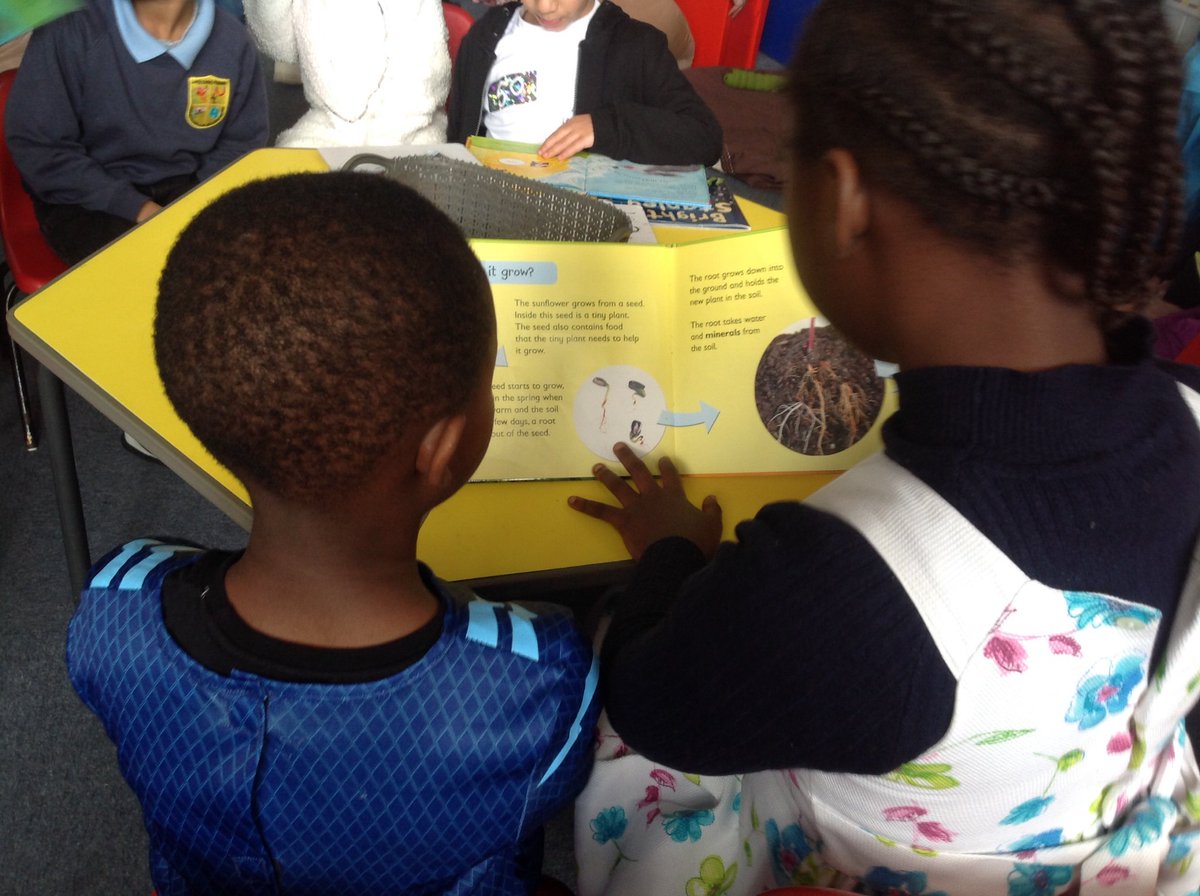 BKimber_LPS's tweet photo. Sharing some gorgeous picture books with the lovely reception children from @KWatson_LPS https://t.co/AvrOl9wq0v