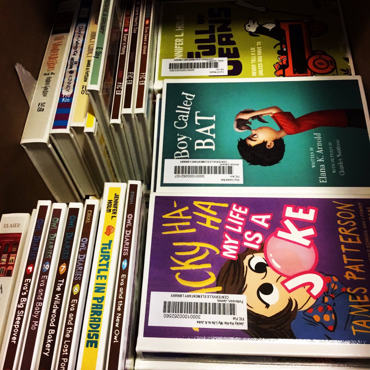 CES_library1's tweet image. Nothing better than a box of new books to celebrate #NationalSchoolLibrarianDay Thanks to the CES PTO for supporting our readers! @TKramerCES @hempfield