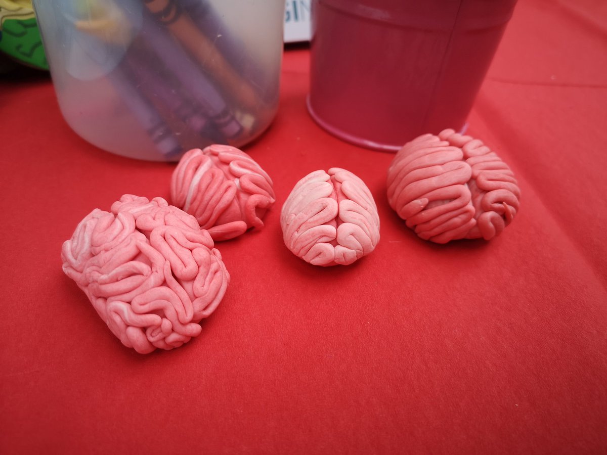 CampusintheCity's tweet photo. Some brains are larger than others! #JoinUsBeInspired https://t.co/HWqmzTU1Eq