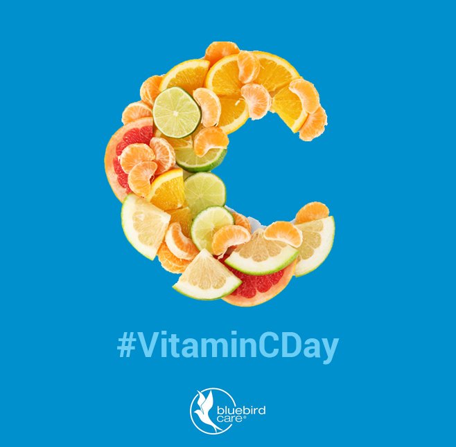 BluebirdWorc's tweet photo. It’s #VitaminCDay! Take advantage of Vitamin C day to learn something new and boost your #health, to boot! Why not learn about the benefits you can get from incorporating Vitamin C into your diet: https://t.co/1RhAbdecl0 https://t.co/ndtGLfdRRR